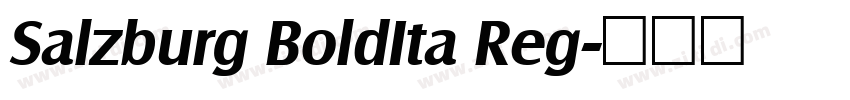 Salzburg BoldIta Reg字体转换